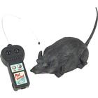 Remote Control Rat