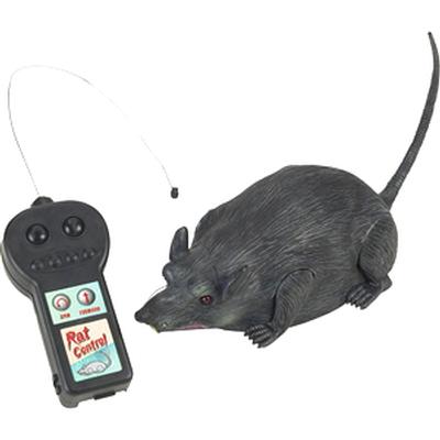 Click to get Remote Controlled Rat