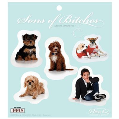 Click to get Sons of Btches Magnet Set