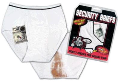 Click to get Security Briefs  Underwear Secret Safe