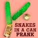 Snakes in a Can Prank